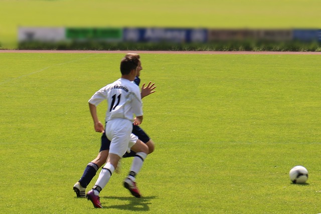 为观众们带 为观众们带