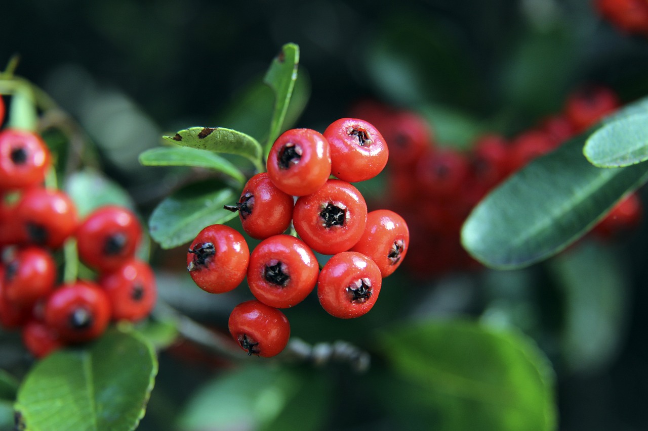 继续担任 继续担任