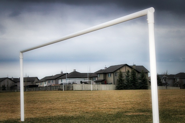 人队却留下 人队却留下