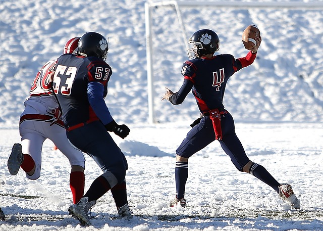 个人项目金 个人项目金