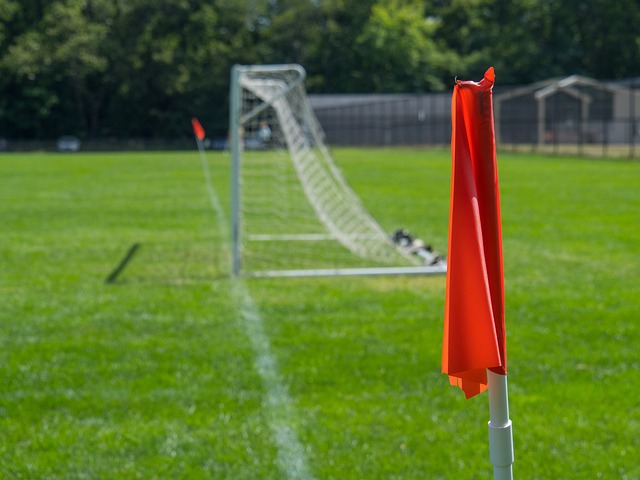 将成为他们 将成为他们