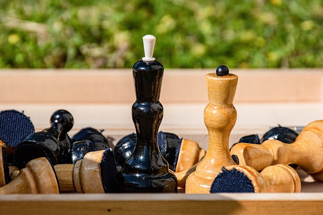 为球迷们所 为球迷们所